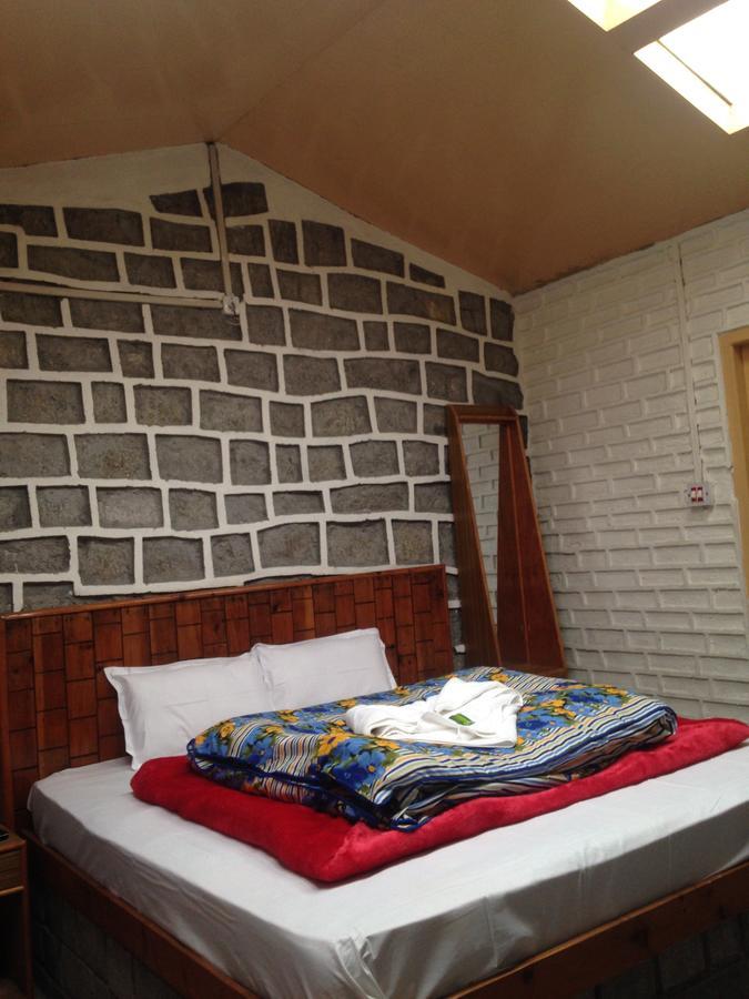 Seraj International Manali (Himachal Pradesh) Exterior photo